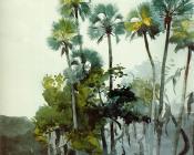 温斯洛 荷默 : Homosassa River